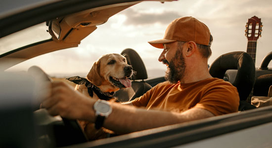 How-to-buy-a-car_thumb How-to-buy-a-car_thumb